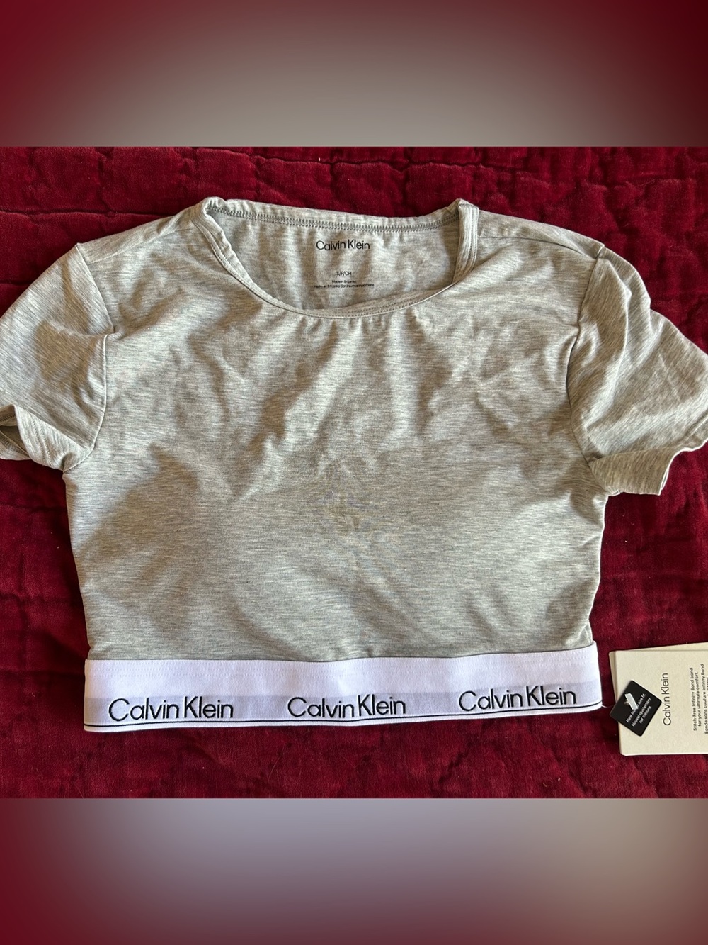 Calvin Klein Light Gray Logo Band Crop Tee